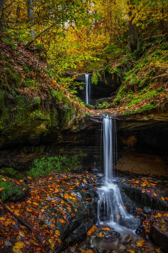 Photograph by Petr Musil