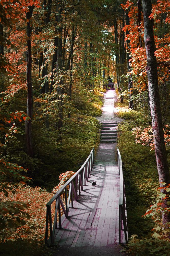 Photograph by Ольга Стоун