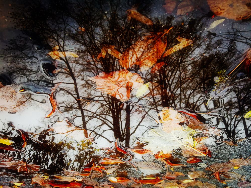 Photograph by Gabriella Szabo