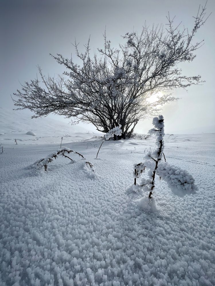 Photograph by Ali goreishi