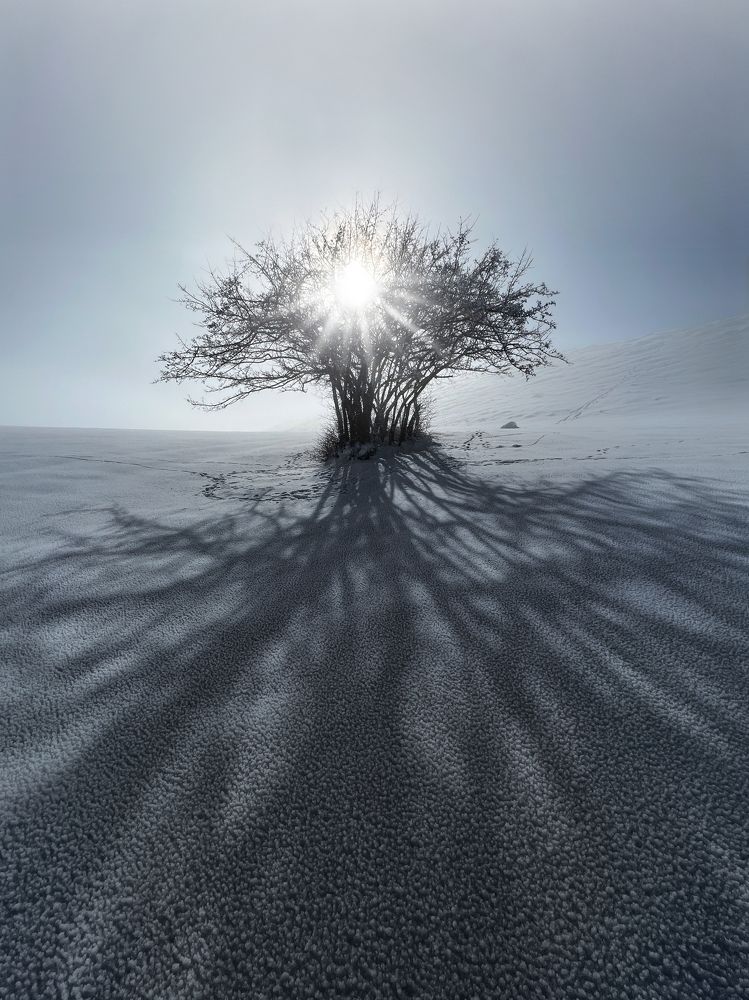 Photograph by Ali goreishi