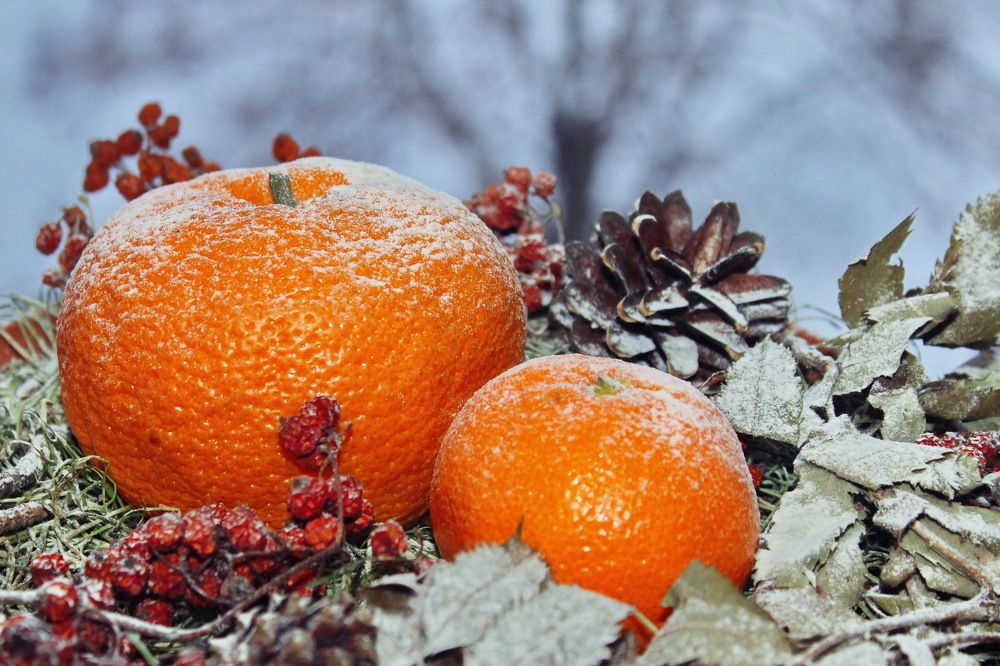 Зимний натюрморт