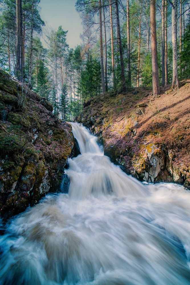 Photograph by Анастасия Глазюк