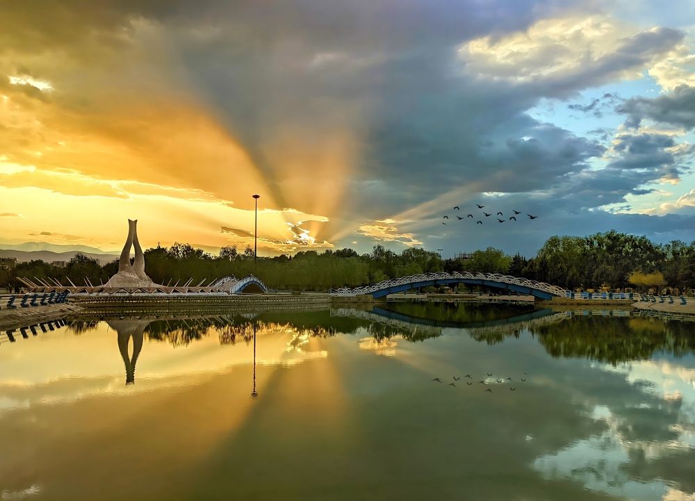 Photograph by Ali goreishi1