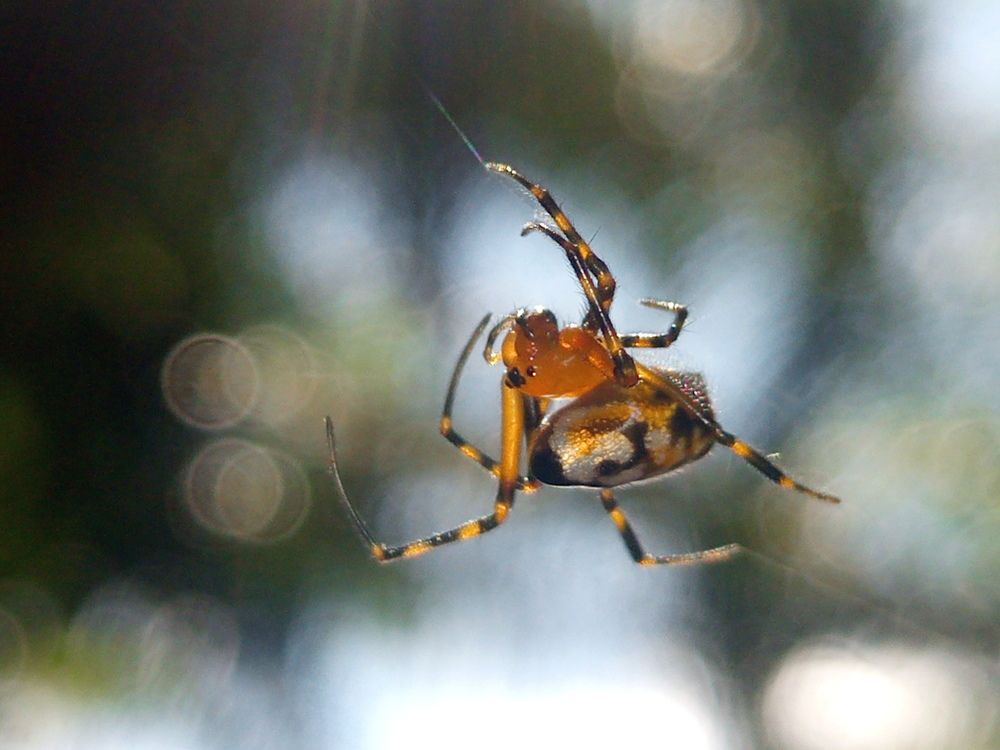 Photograph by Khairul Zamzami