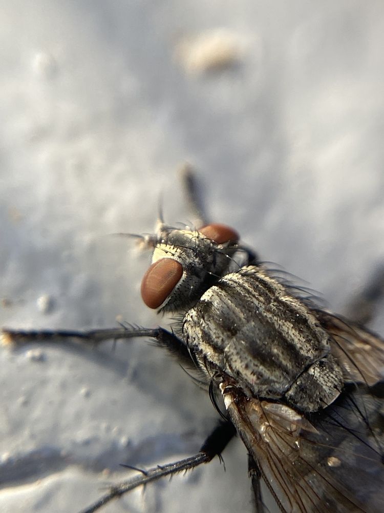 Photograph by Мария