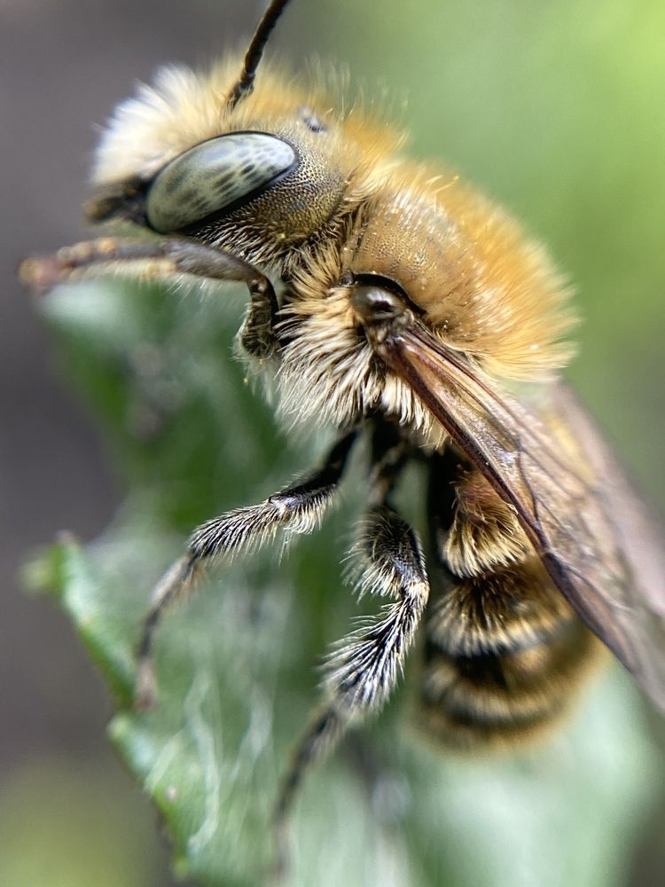 Photograph by Мария