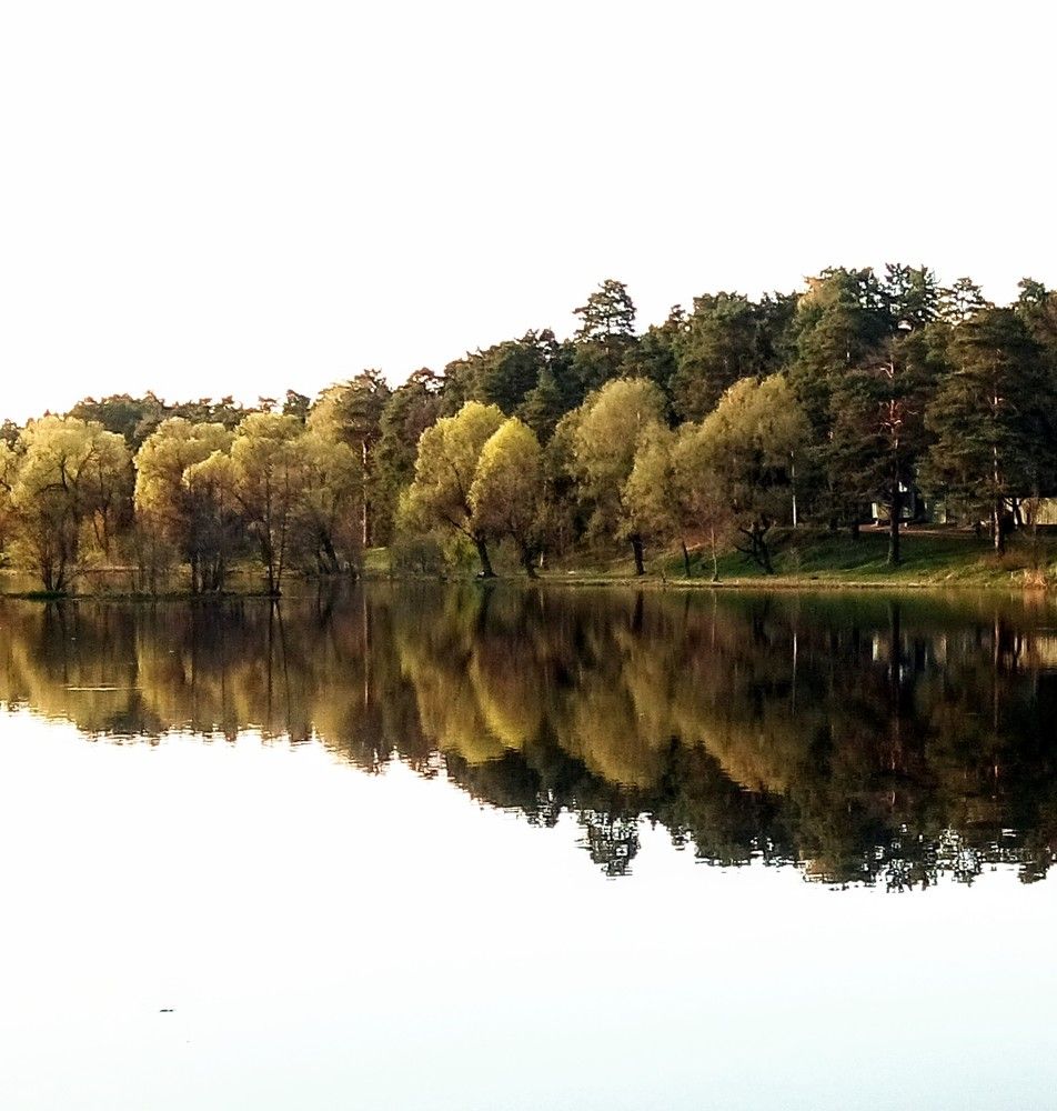 Photograph by Наталия