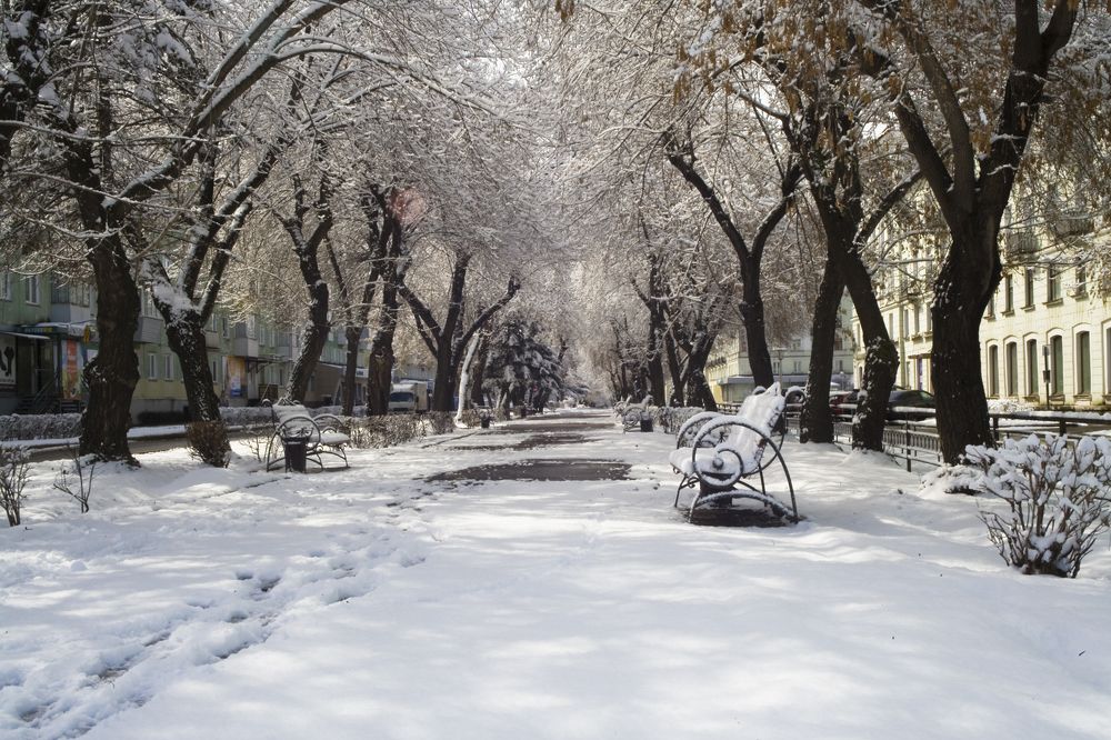 Photograph by Панюшкин Андрей