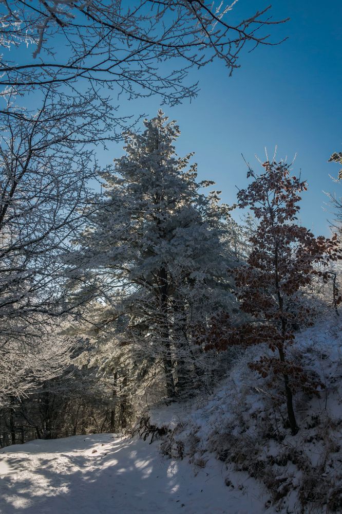 Photograph by Игорь Сидун