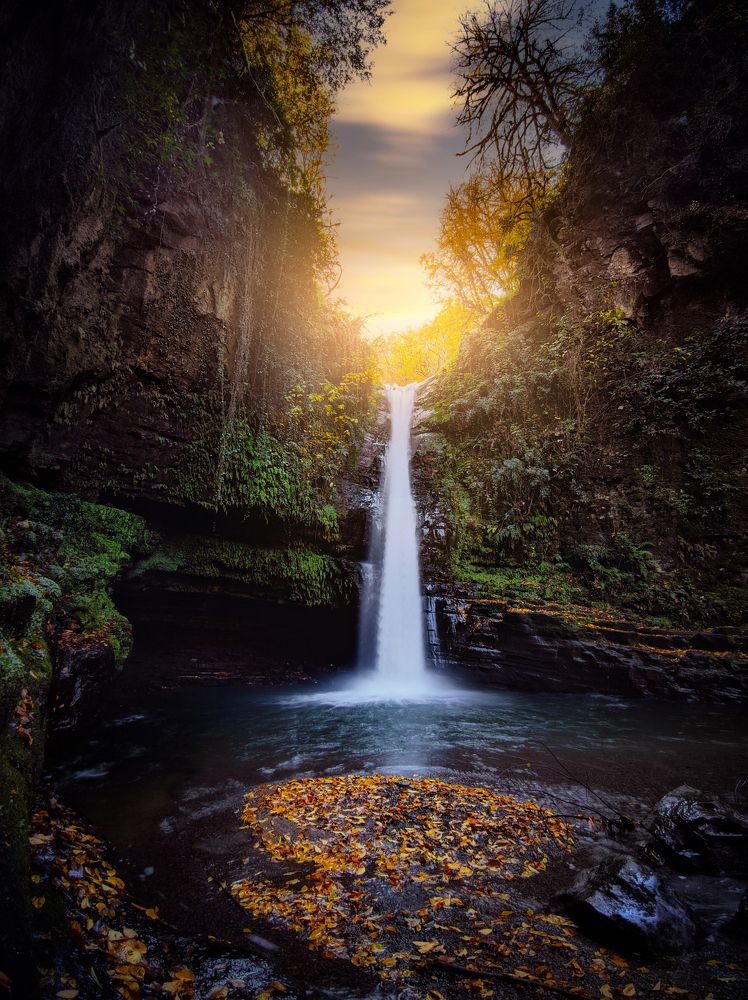Photograph by Ali goreishi1