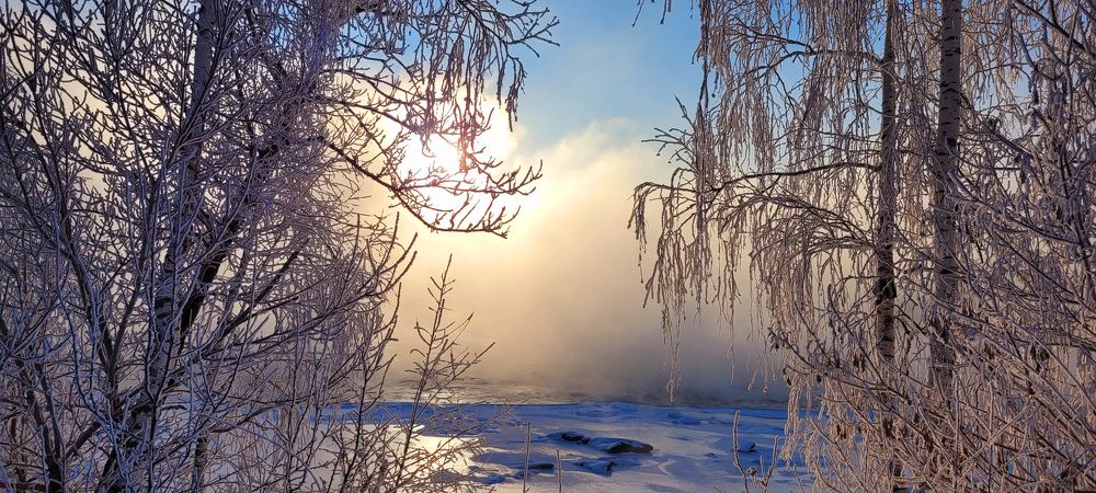 Photograph by Владимир Каверин