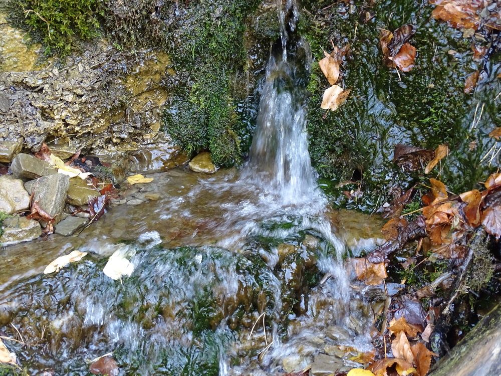 Photograph by Николай Худяков