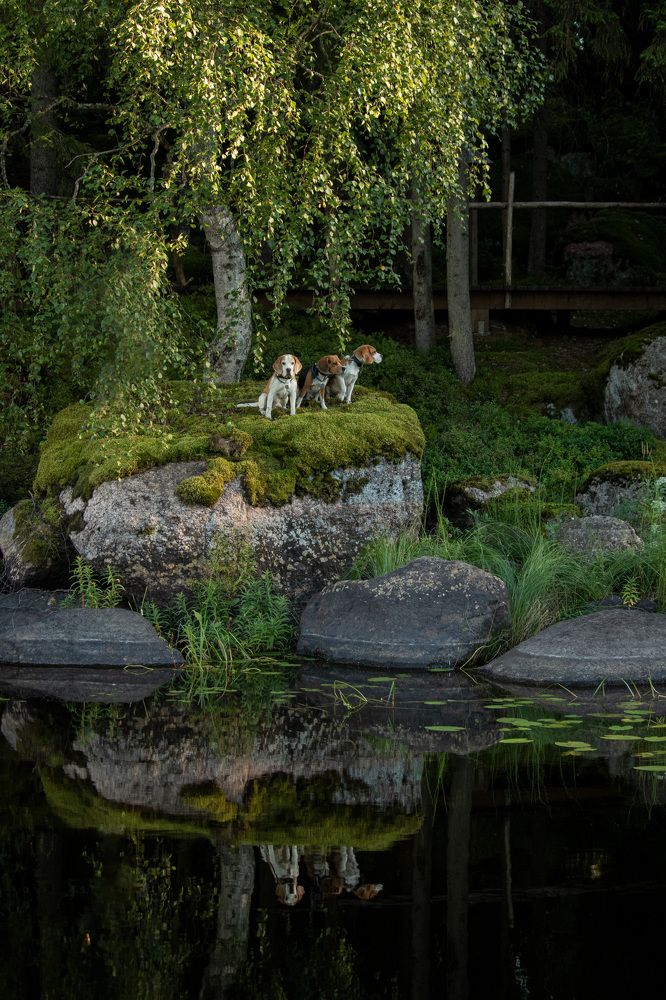 Photograph by Юлия Куликова