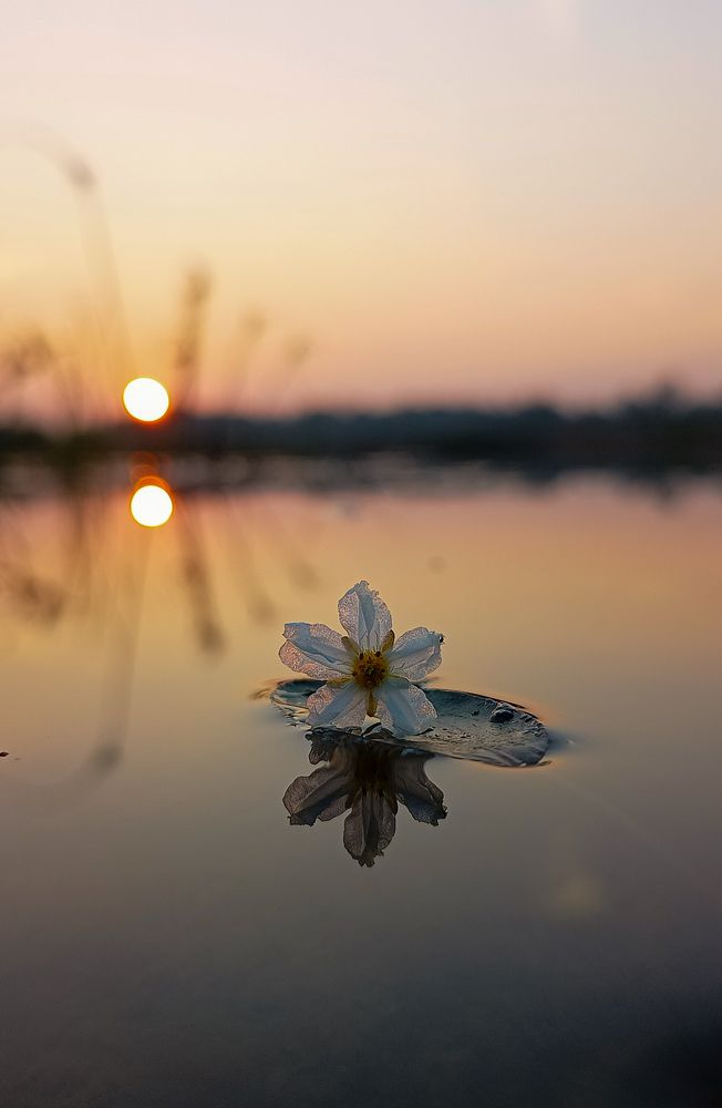 Фотография автора Abir Duley