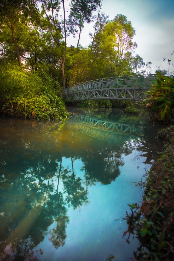 Troll Bridge Hutan Bandar