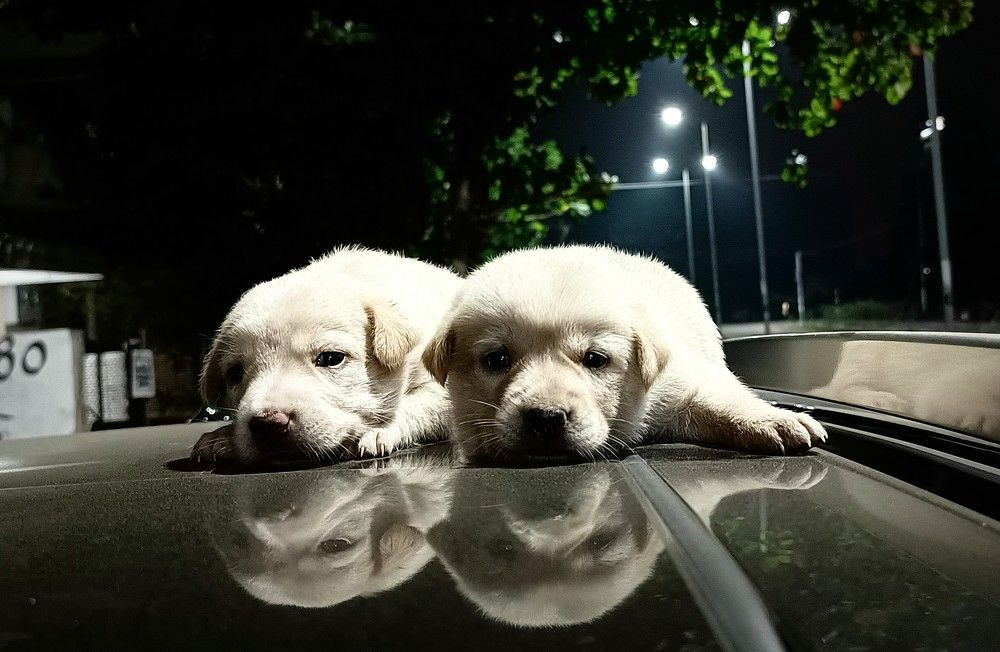 Фотография автора Abir Duley