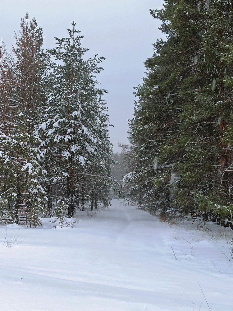 Photograph by Ирина Дегтярева