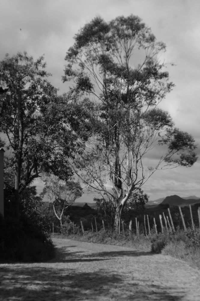 Photograph by Jamilya Tapaskhanova