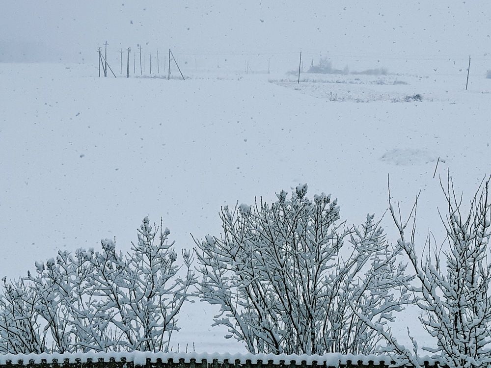 Снегопад за окном