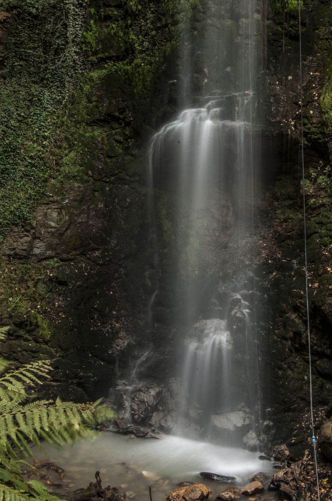 Photograph by Muzaffer Sütlüoğlu