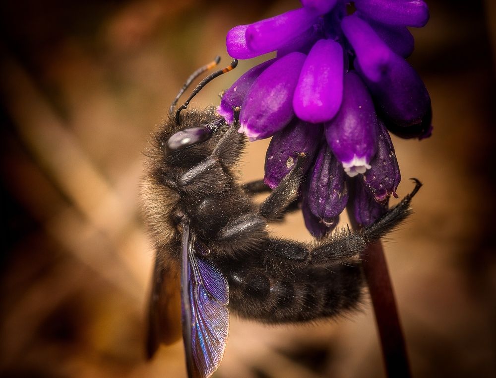 Photograph by Сергей Зелинский