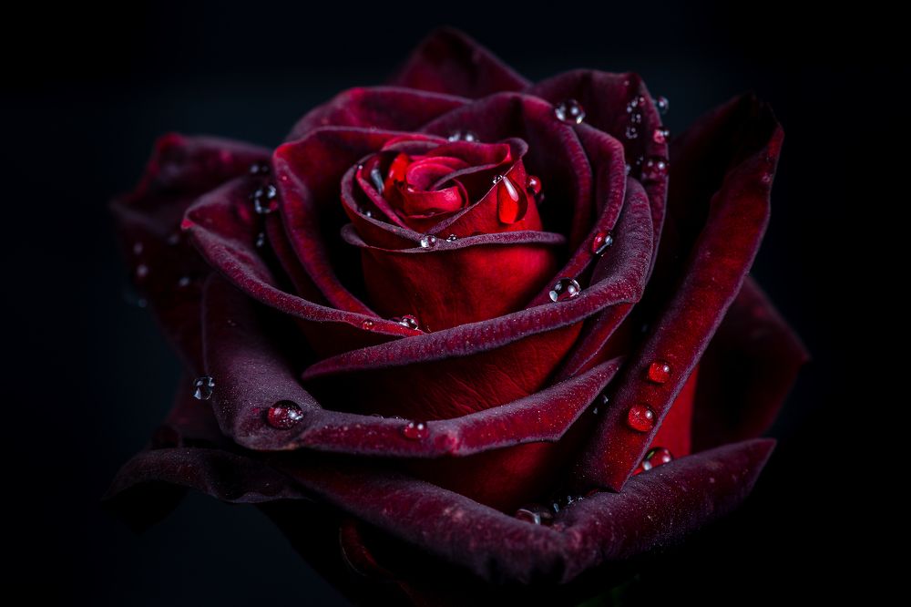 Photograph by Сергей Зелинский