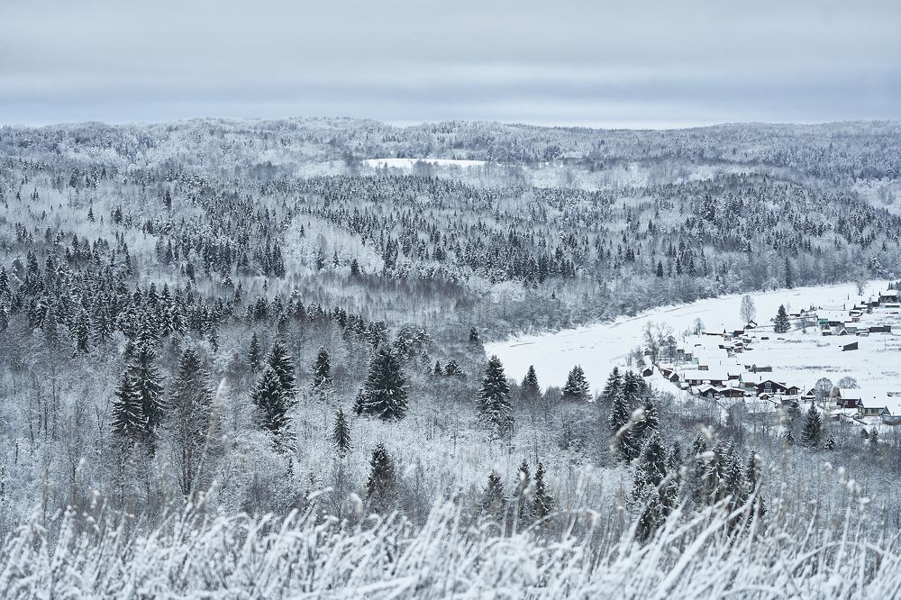 Photograph by Надежда Пушкина