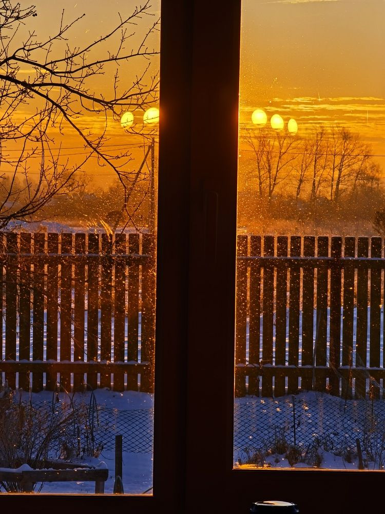 Photo #6941761