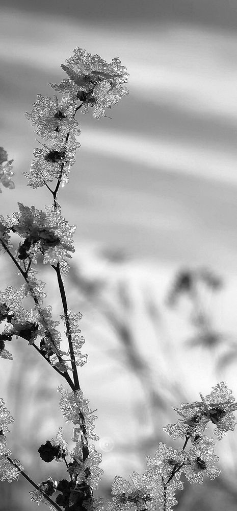 Photo #6941766