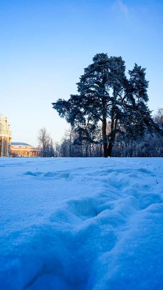 Фотография автора Slim Soyadi