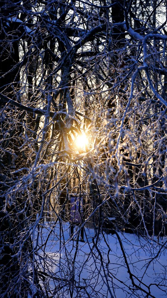 Фотография автора Slim Soyadi