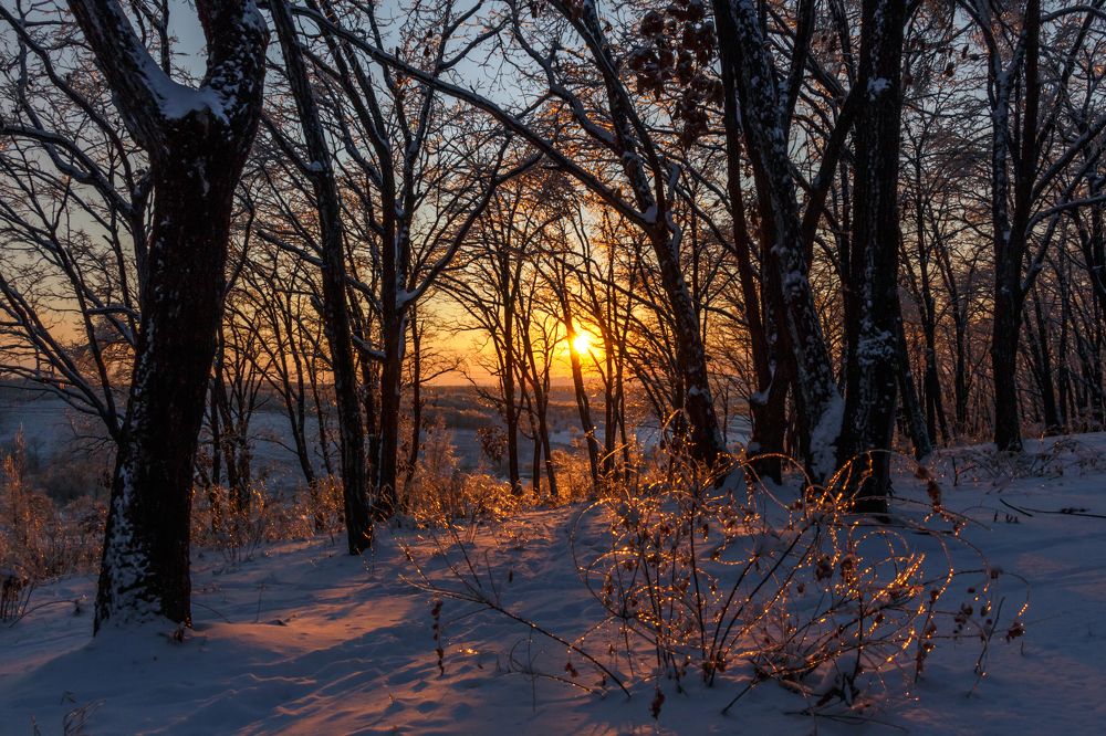 Photograph by Тамара Морозова