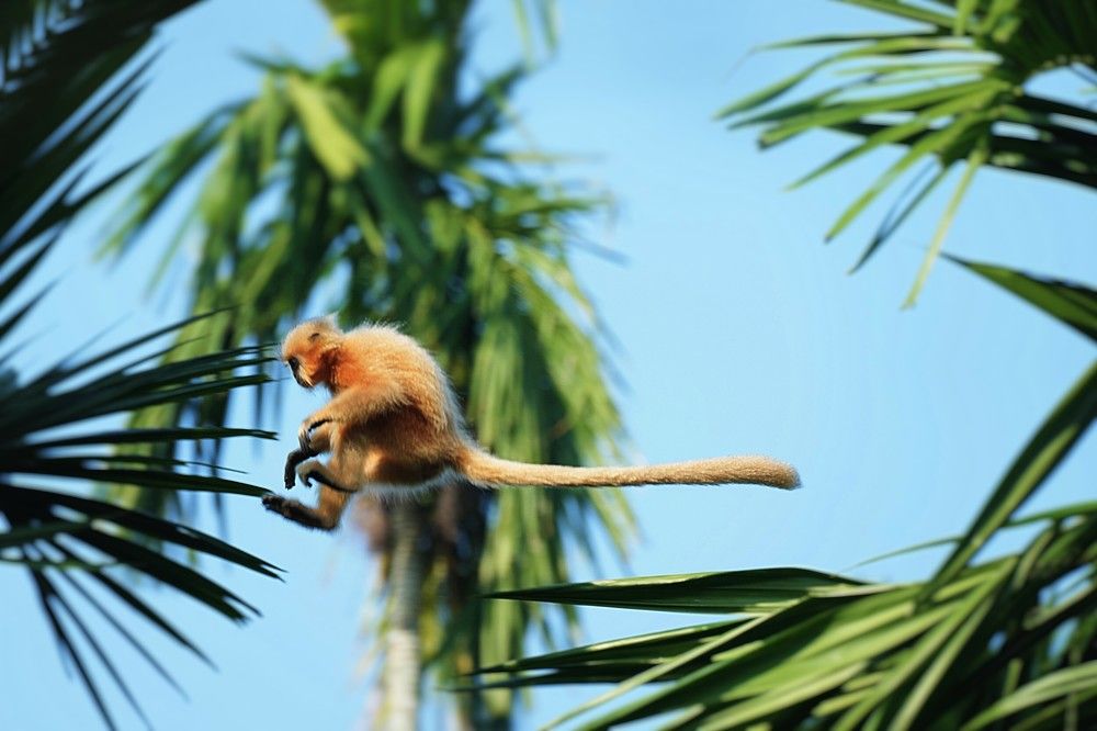 Photograph by Nirmalya Chakraborty