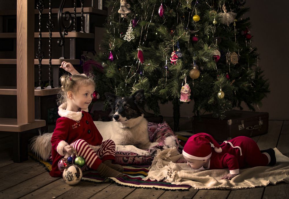 Photograph by Юля Горбунова