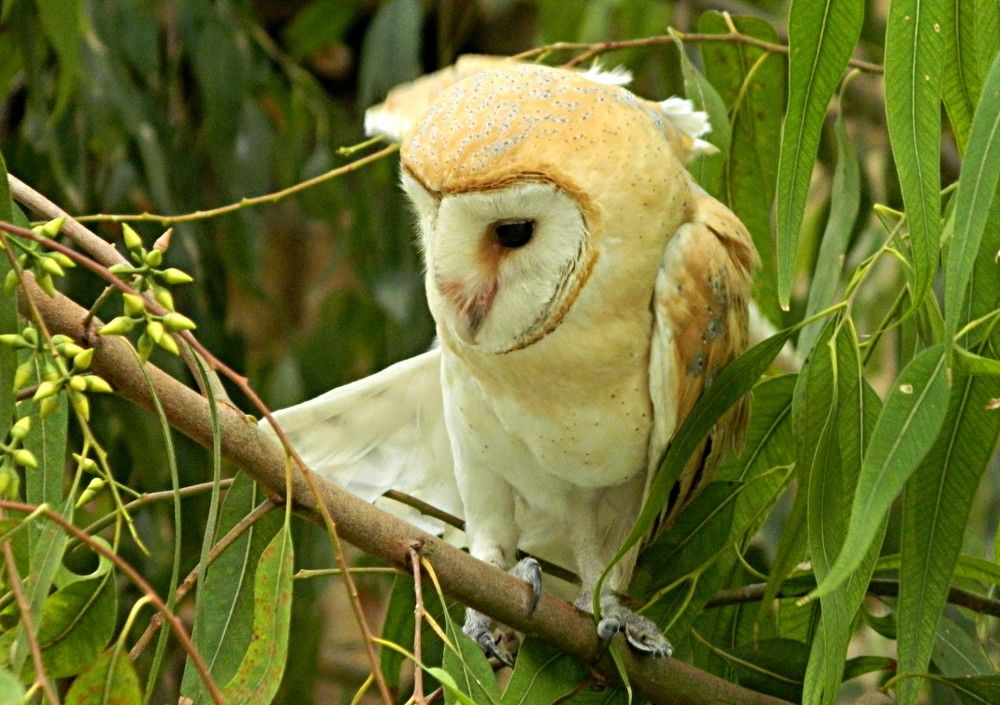 Photograph by Сергей Рапопорт