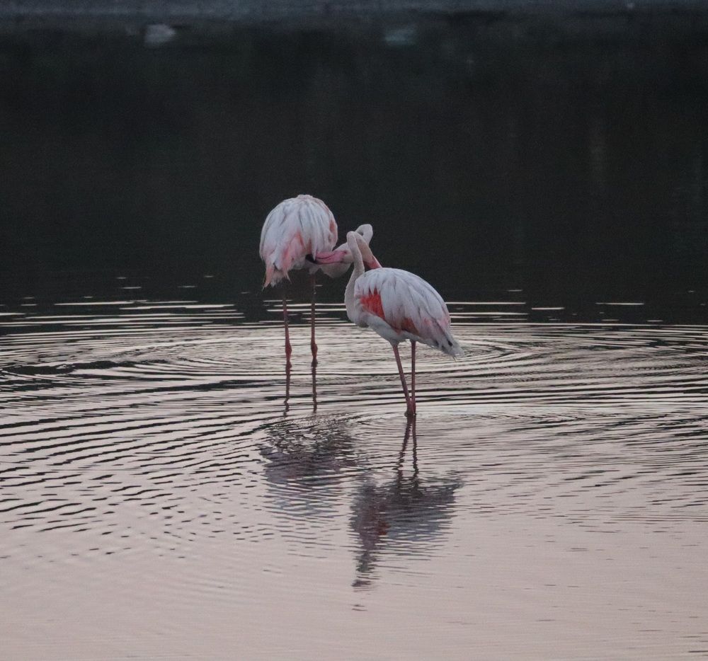 Photograph by Rishikesh Budhbhatti