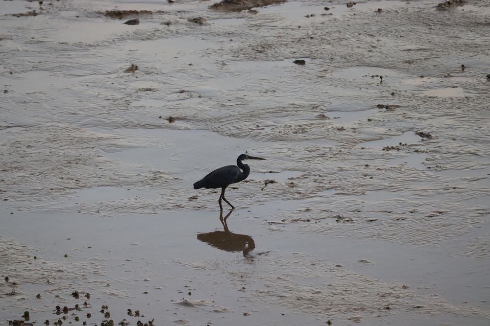 Photograph by Rishikesh Budhbhatti