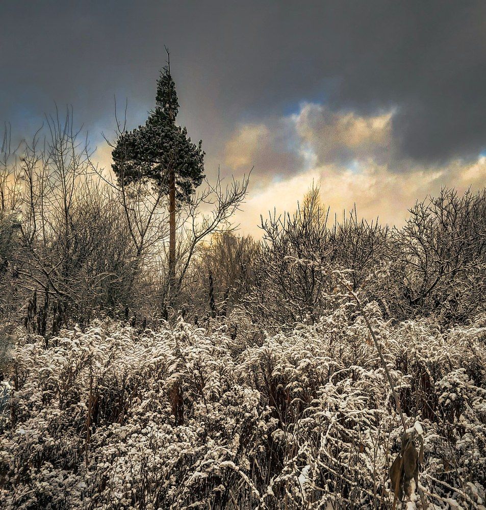 Photograph by Светлана Моисеева