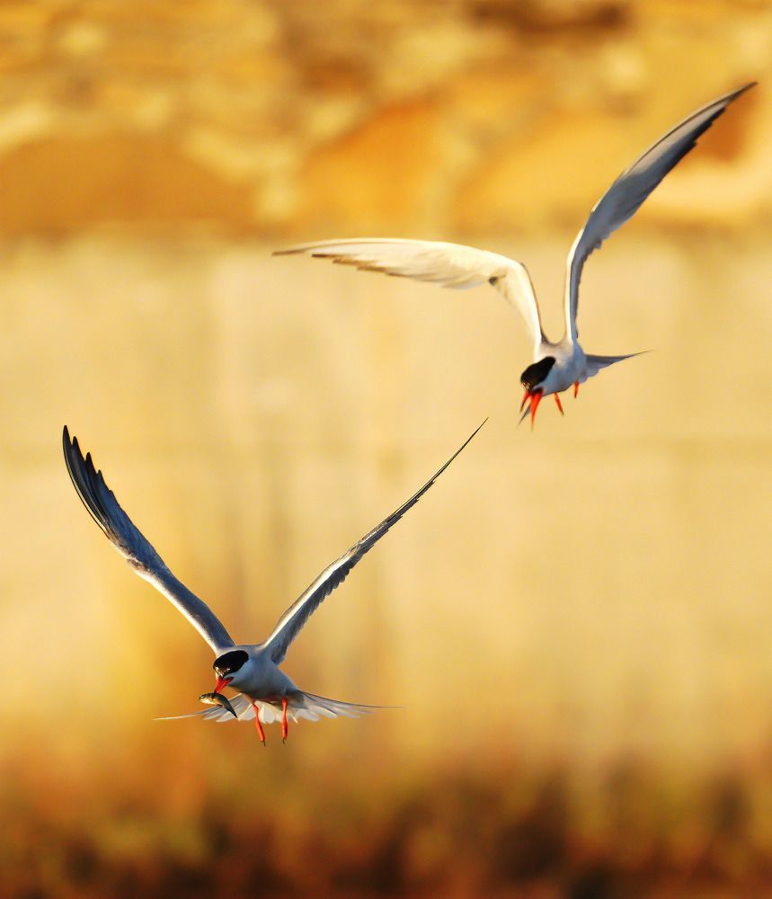 Photograph by Krasimir Georgiev