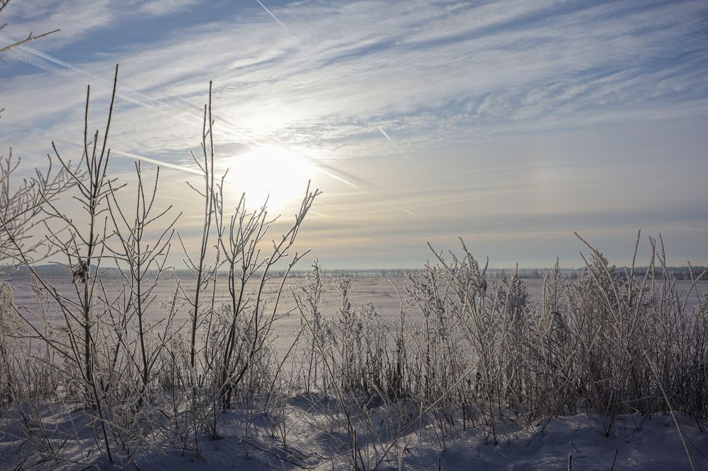 Photograph by Кристина Заря