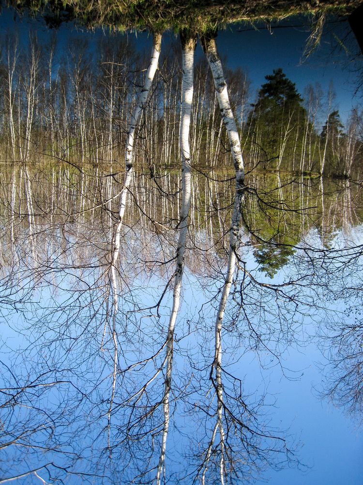 Photograph by Елена Шилова