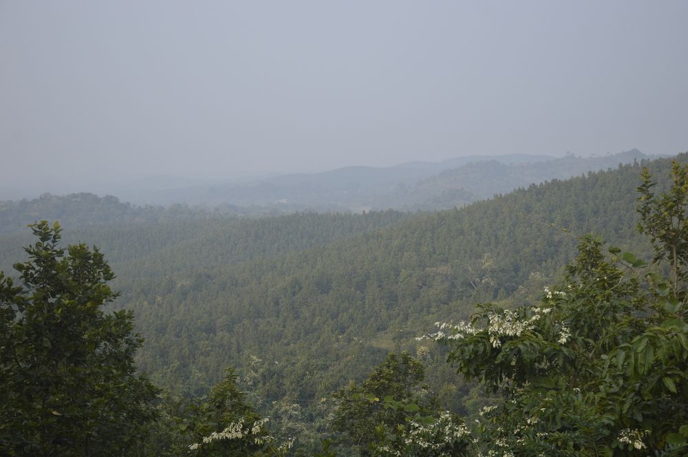 Фотография автора Mohit Patra