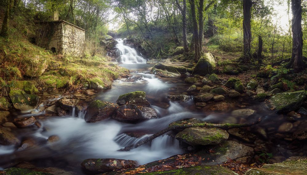 Photograph by Roberto SANMARTIN ALMEIDA