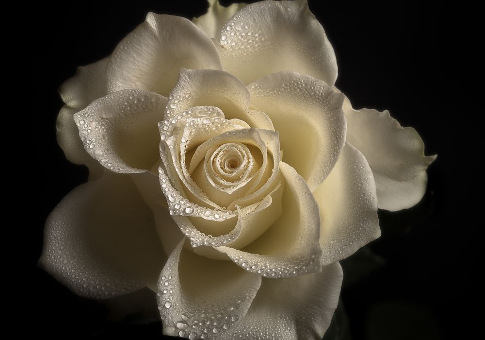 Photograph by Сергей Зелинский