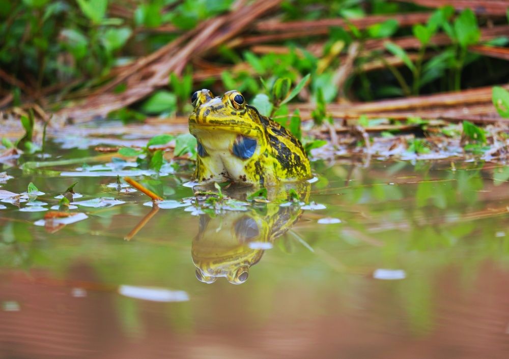 Photograph by Bepary Norullah