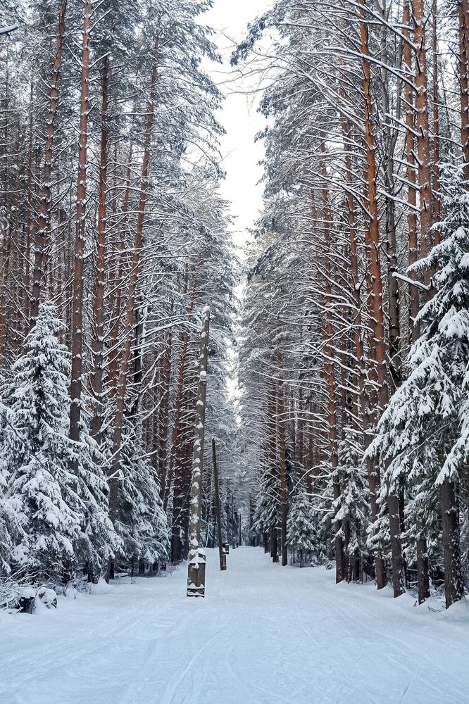 Photograph by Юлия Морозова