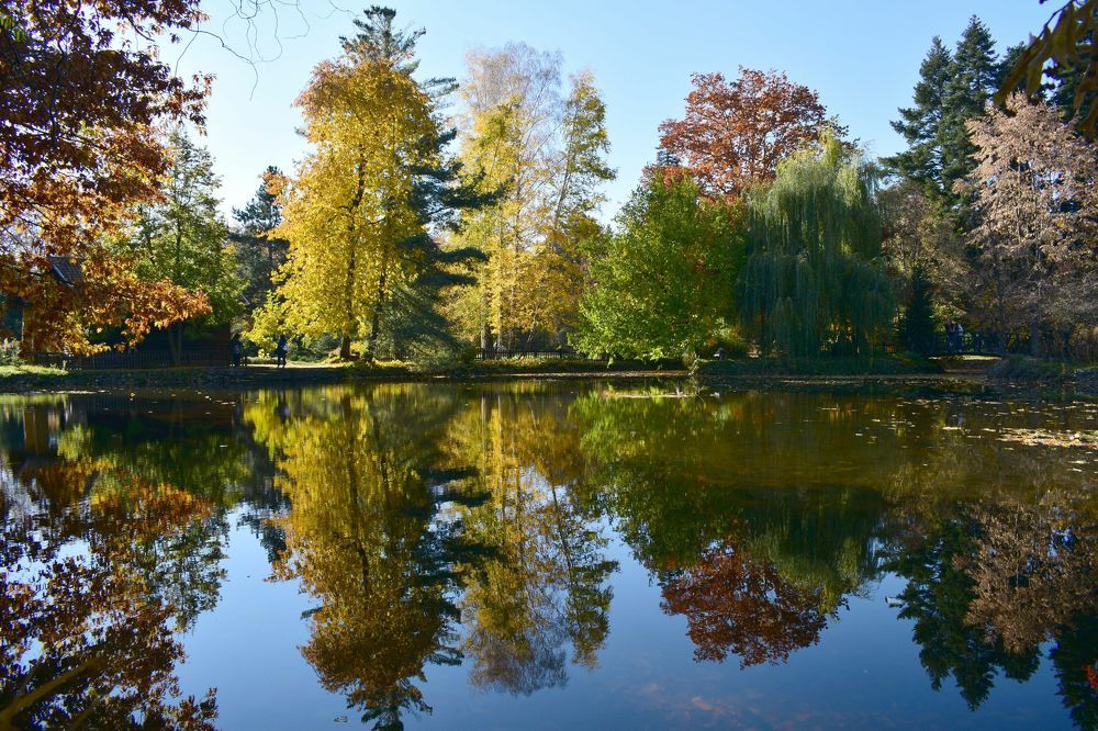 Златна есен(огледални щрихи)