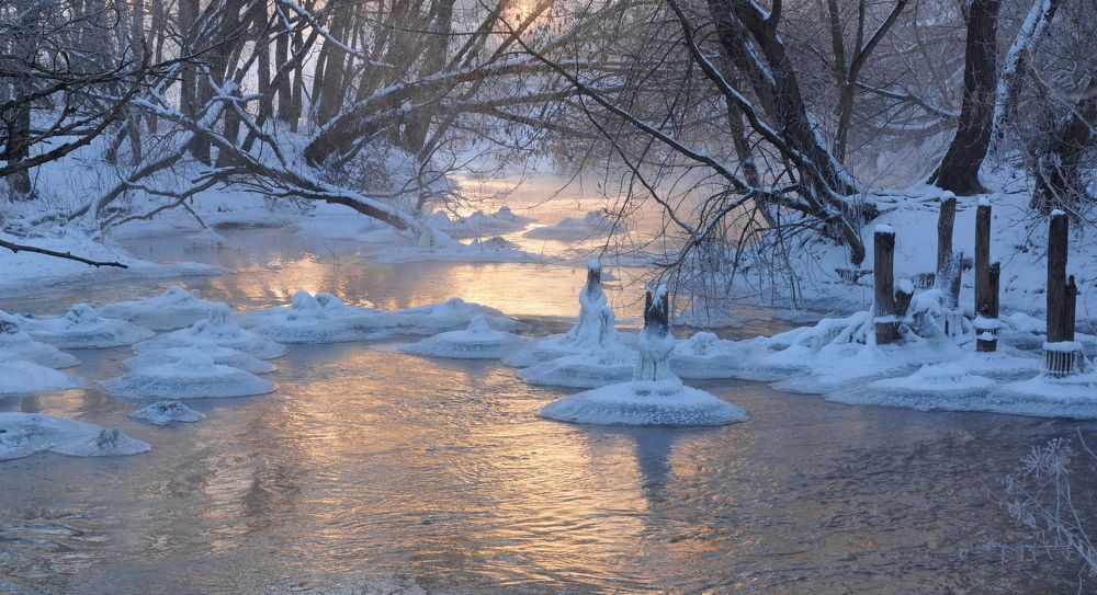 Photograph by виктор ястребов