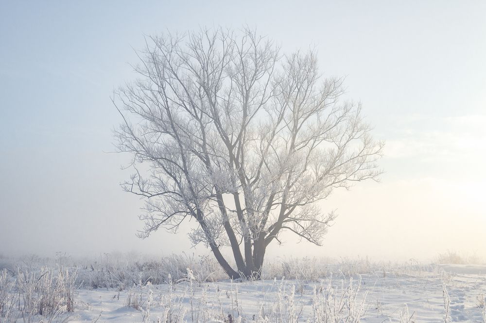 Фотография автора Tomasz Podgórny
